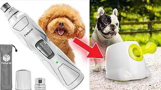 Top 10 Best Pets Gadgets to Make Your Pets Happy