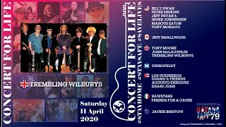 Trembling Wilburys | Handle with Care | 