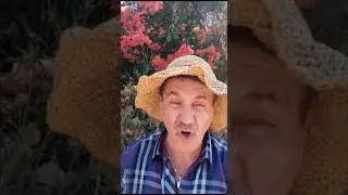 Вот это жопа!