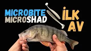 Microbite Micro Shad 60mm: İlk Test Büyükçekmece Gölü