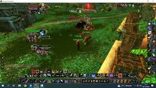 Newbie BM Hunter soloing "High Priest Thekal" (ZG Tiger boss).