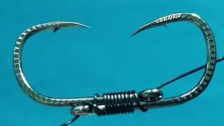 An ingenious way to set a fishing line to catch predatory fish