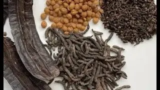Les ÉPICES du CAMEROUN