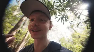 another incomprehensible mushroom vlog in nature