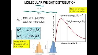 How to compute Polymer average molecular weight - Example