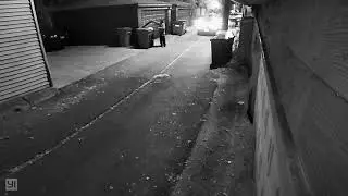 Dumpster Inspector Returns 11 2 20