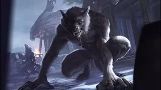 Skyrim SE - Werewolf Load Order Skyrim Xbox Load Order Skyrim Xbox One Mods