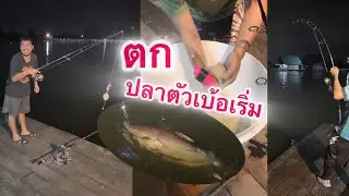 ตกปลาใหญ่ ตามหาปลาร้อยกว่าโลถึงสองร้อยโลทั้งคืน
