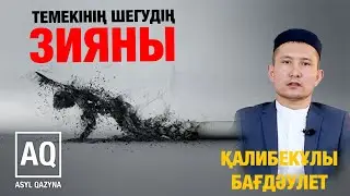 ТЕМЕКІ ШЕГУДІҢ ЗИЯНЫ
