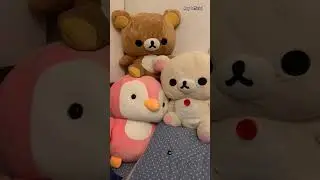 ❤️🥹 | roy official | #punjabisong #newsong #punjabi #music #song #funny #love #roy  #teddy #explore