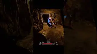 Dark and Darker  skeleton champion on portal #shorts