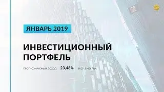 Инвестиционный портфель акций.  Январь, 2019 | Global Finance