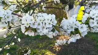 Ейск ! Ранним утром !