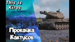 Последний день теории струн,качаем кактусы в топ.
