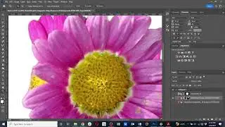 Photoshop Exercise 1 (CO 221)