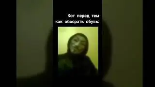 Жизнь кота