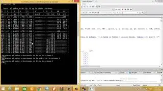 FUNCIONAMIENTO PROGRAMA SAP