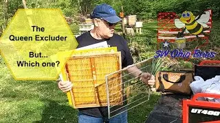 The Queen Excluder