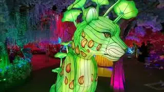 IMAGINARIUM in Lakewood, California - Walk Thru