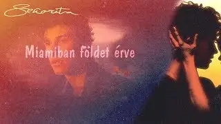 Shawn Mendes, Camila Cabello - Señorita | MAGYAR FELIRATTAL