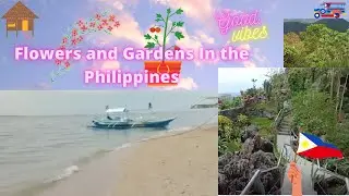 #SoulSierraGarden