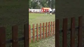 Моно ВЕО Пермь, 1.06.19 Суки Класс Открытый