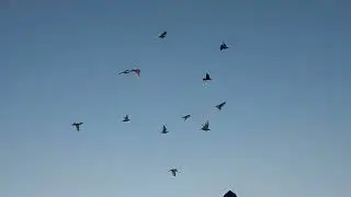 Всё как всегда и обычно.