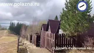 Сказочный лес в Полазне