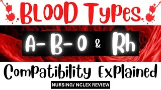 BLOOD TRANSFUSION COMPATIBILITY | A-B-O & Rh Factor | Nursing | NCLEX Review | HDFN & RHOGAM