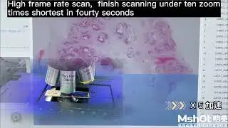 MSHOT Digital slide scanner MDS4 demonstration