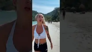 История с рыжим котом