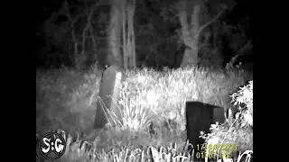 RAW Night Vision Footage from Before the FIRE TRAIN Went By