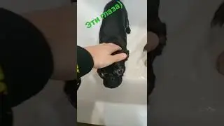 брабонсон 