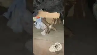 We found an old suitcase in the attic ...