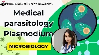 Plasmodium Medical parasitology MBBS BDS second year lecture notes by Swapnil Agrawal