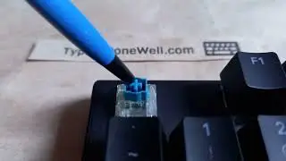 SteelSeries Apex 5 - switch (short test)