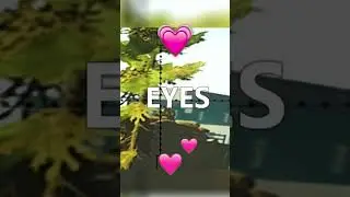 САМЫЙ ДАЛЬНИЙ ВЫСТРЕЛ | ESCAPE FROM TARKOV 