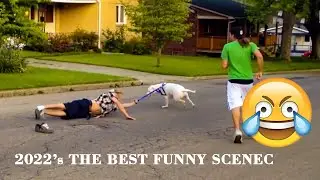 The Best Dog Funny Moments with Humans | Comedy videos 2022