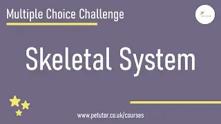 GCSE PE: Multiple Choice Challenge - Range of movement