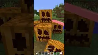 POV: You Choose Ping to 969% in Minecraft (はいよろこんで) #meme #shorts
