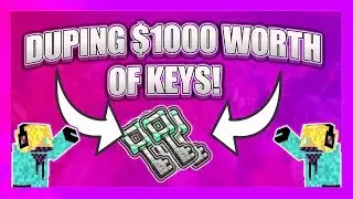YOU CAN DUPE ON HERE!?!?  Duplication glitch Multiplayer 1.8/1.9/1.10/1.11/1.12