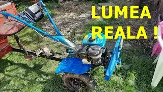 Schimbare totala din lumea reala !