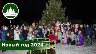 Новогодний праздник 2024