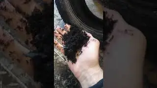 Drove on an empty tire | flat tire 