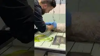 What could be inside a cat's ear??🥵​😱​