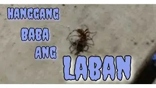 LABANAN NG MATITIGAS NA GALAMAY💪💪💪