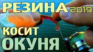Рыбалка на окуня летом, ловля окуня на силиконовые приманки