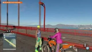 Watch dogs
