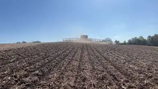 BLACK DAWN ONE - 60' - Beans - WI