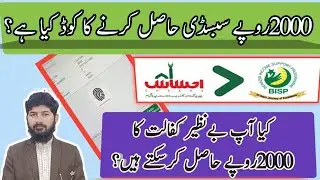 Benazir income sports program 2000|Ehssas kafalat program2000subsidy ka code Kiahai(@digitalurdulab)